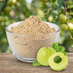Amla Powder