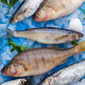 Fish