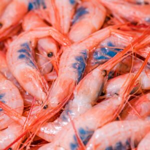 Fresh Shrimp